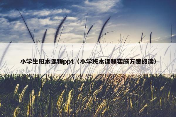 小学生班本课程ppt（小学班本课程实施方案阅读）