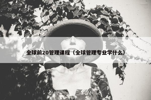 全球前20管理课程（全球管理专业学什么）