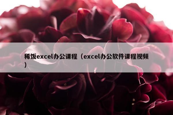 稀饭excel办公课程（excel办公软件课程视频）