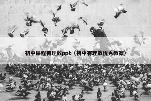 初中课程有理数ppt（初中有理数优秀教案）
