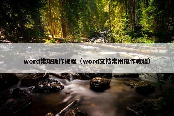 word常规操作课程（word文档常用操作教程）