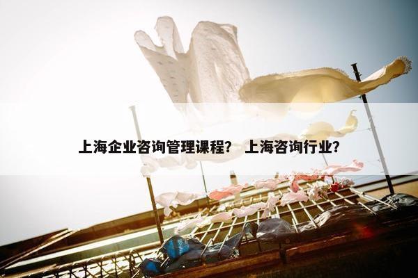 上海企业咨询管理课程？ 上海咨询行业？