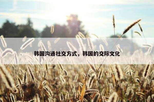 韩国沟通社交方式，韩国的交际文化