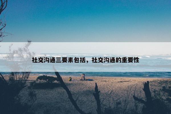 社交沟通三要素包括，社交沟通的重要性
