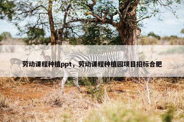 劳动课程种植ppt，劳动课程种植园项目招标合肥