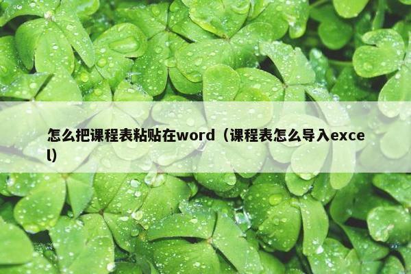 怎么把课程表粘贴在word（课程表怎么导入excel）