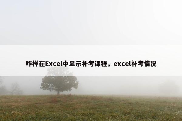 咋样在Excel中显示补考课程，excel补考情况