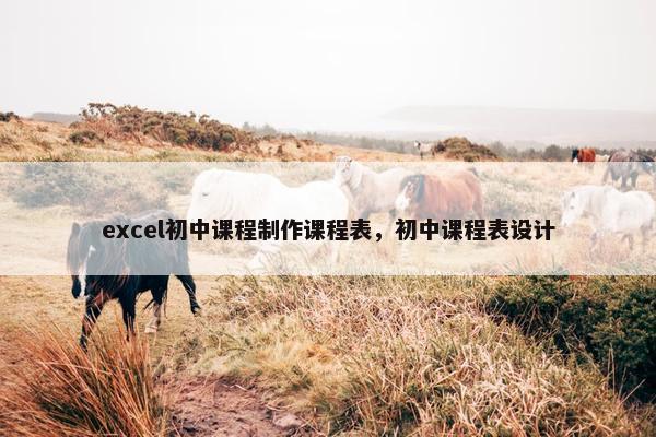 excel初中课程制作课程表，初中课程表设计