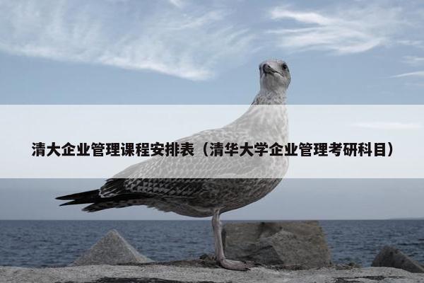 清大企业管理课程安排表（清华大学企业管理考研科目）