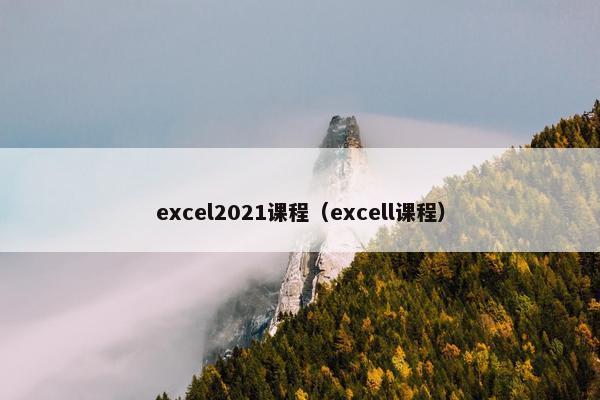 excel2021课程（excell课程）