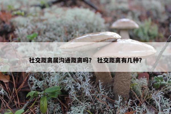 社交距离属沟通距离吗？ 社交距离有几种？