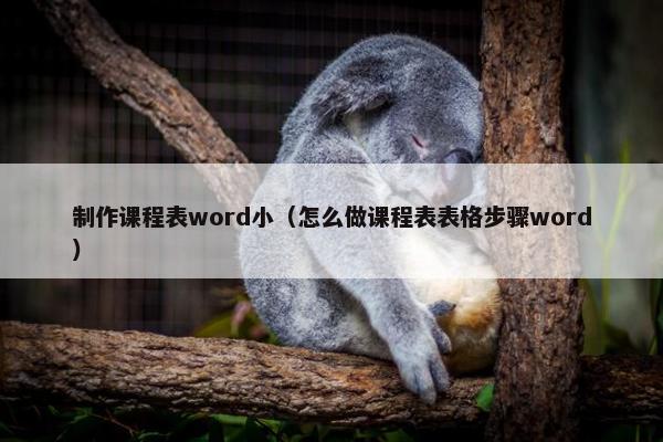 制作课程表word小（怎么做课程表表格步骤word）