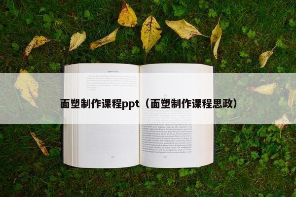 面塑制作课程ppt（面塑制作课程思政）