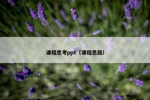 课程思考ppt（课程思路）
