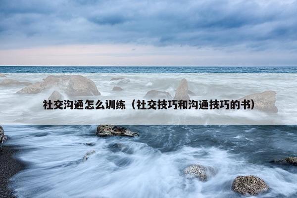 社交沟通怎么训练（社交技巧和沟通技巧的书）