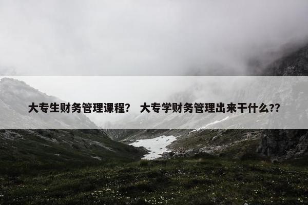 大专生财务管理课程？ 大专学财务管理出来干什么?？