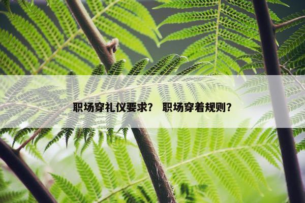 职场穿礼仪要求？ 职场穿着规则？