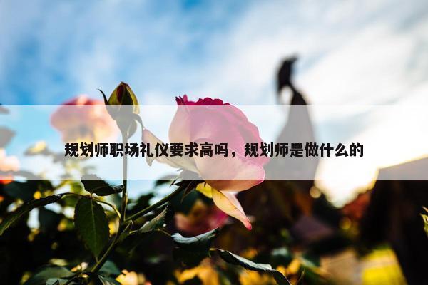 规划师职场礼仪要求高吗，规划师是做什么的