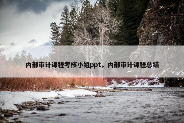 内部审计课程考核小组ppt，内部审计课程总结