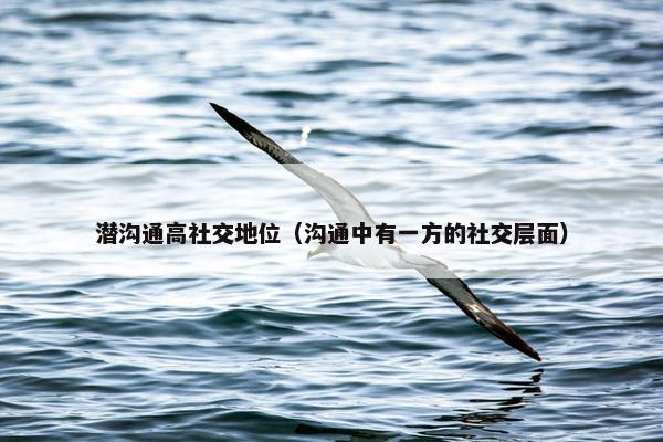潜沟通高社交地位（沟通中有一方的社交层面）