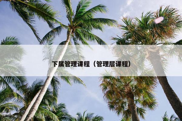 下属管理课程（管理层课程）