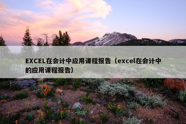 EXCEL在会计中应用课程报告（excel在会计中的应用课程报告）