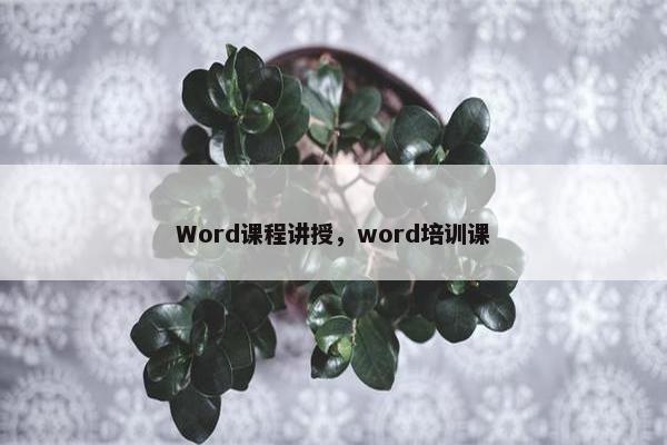 Word课程讲授，word培训课