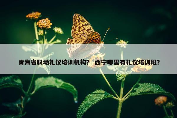 青海省职场礼仪培训机构？ 西宁哪里有礼仪培训班？