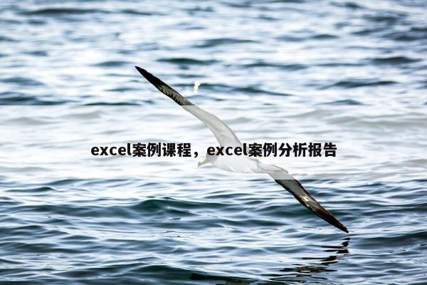excel案例课程，excel案例分析报告