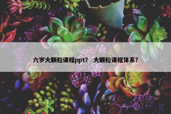六岁大颗粒课程ppt？ 大颗粒课程体系？