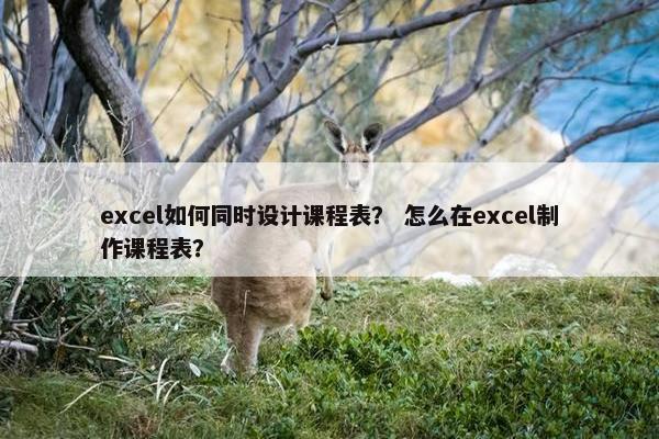 excel如何同时设计课程表？ 怎么在excel制作课程表？