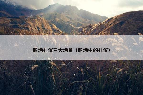 职场礼仪三大场景（职场中的礼仪）