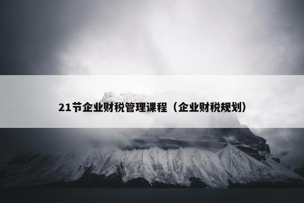 21节企业财税管理课程（企业财税规划）