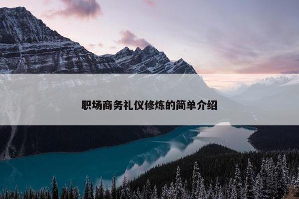 职场商务礼仪修炼的简单介绍