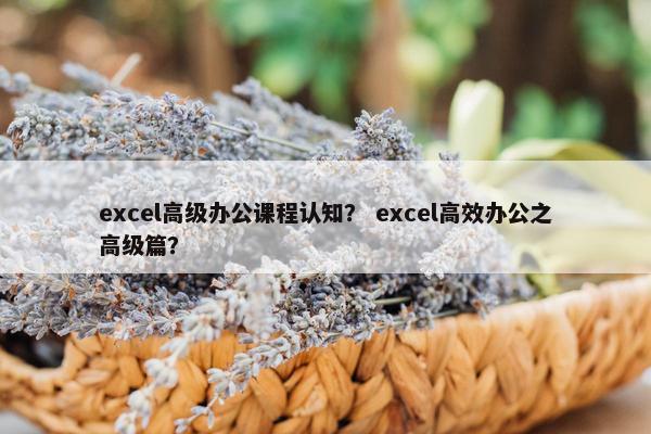 excel高级办公课程认知？ excel高效办公之高级篇？