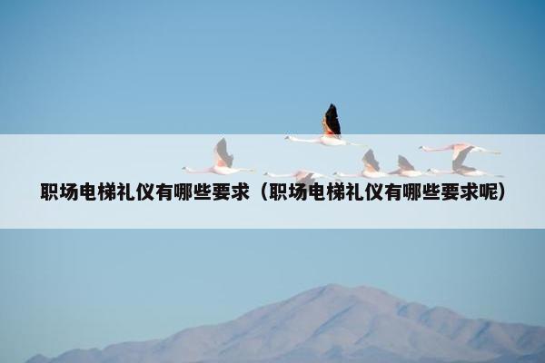 职场电梯礼仪有哪些要求（职场电梯礼仪有哪些要求呢）