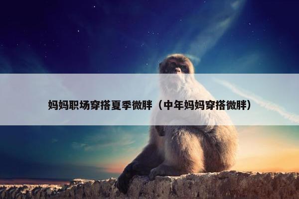 妈妈职场穿搭夏季微胖（中年妈妈穿搭微胖）