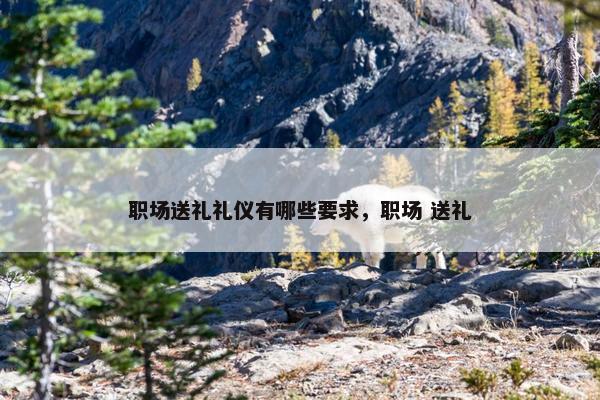 职场送礼礼仪有哪些要求，职场 送礼