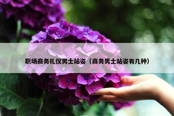 职场商务礼仪男士站姿（商务男士站姿有几种）