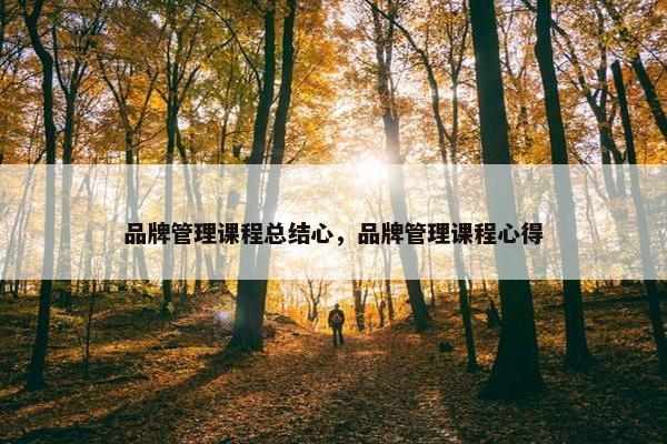 品牌管理课程总结心，品牌管理课程心得