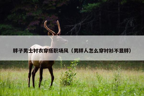 胖子男士衬衣穿搭职场风（男胖人怎么穿衬衫不显胖）