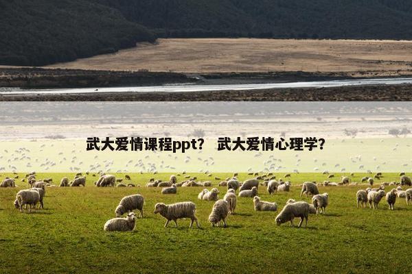 武大爱情课程ppt？ 武大爱情心理学？