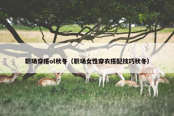 职场穿搭ol秋冬（职场女性穿衣搭配技巧秋冬）