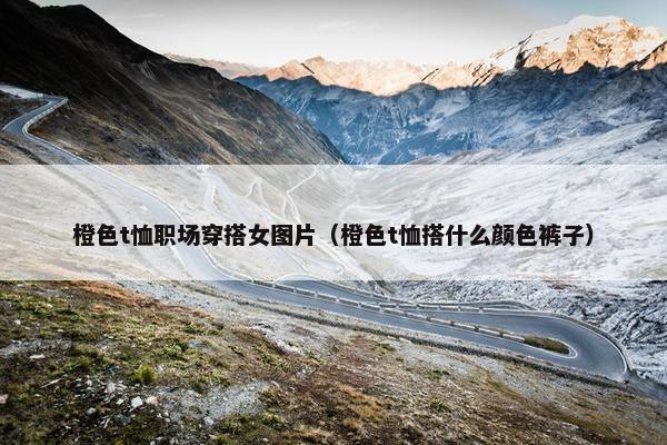 橙色t恤职场穿搭女图片（橙色t恤搭什么颜色裤子）