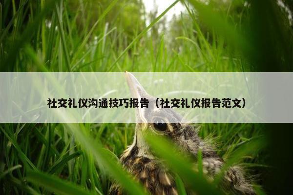 社交礼仪沟通技巧报告（社交礼仪报告范文）