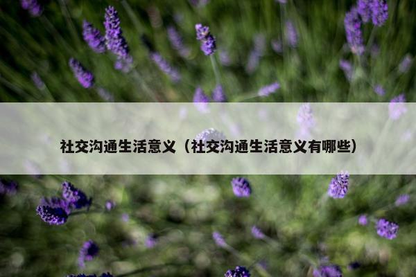 社交沟通生活意义（社交沟通生活意义有哪些）