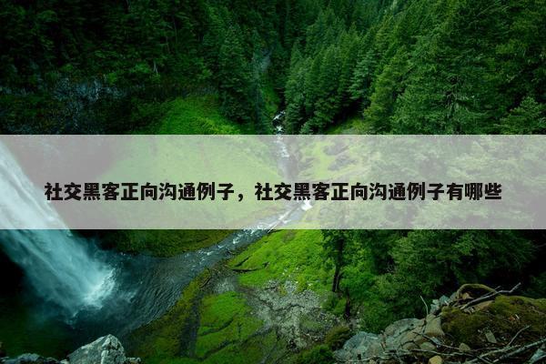 社交黑客正向沟通例子，社交黑客正向沟通例子有哪些