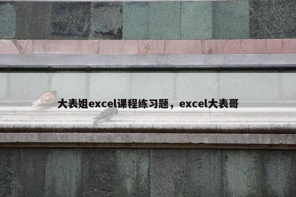 大表姐excel课程练习题，excel大表哥