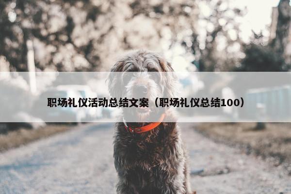 职场礼仪活动总结文案（职场礼仪总结100）