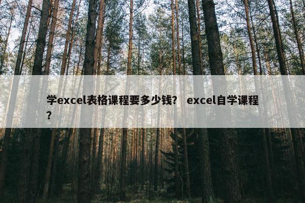 学excel表格课程要多少钱？ excel自学课程？